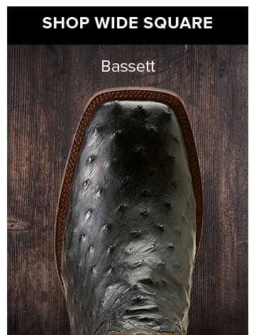 BASSETT