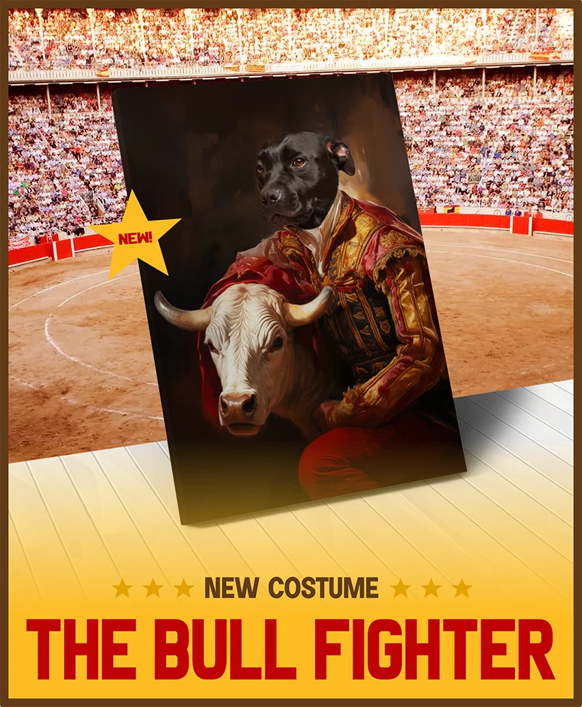 NEW COSTUME: The Bull Fighter