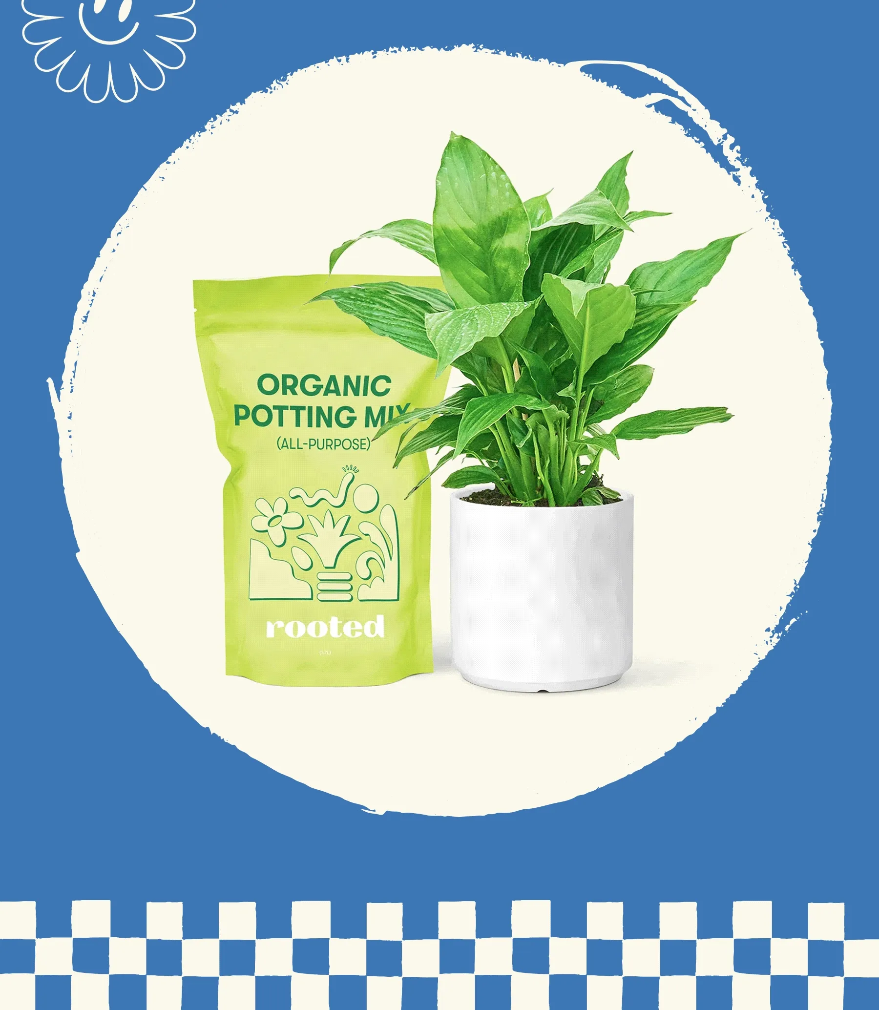 HOMEGROWN WITH LOVESUPER-SIZED, SUPER STYLISH  Big on size, low on effort—these large plants are as easy to care for as they are to look at