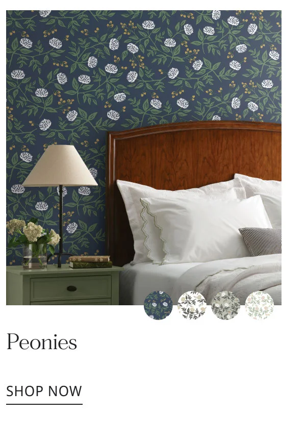 Peonies - Shop Now