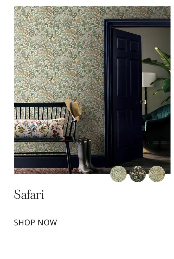 Safari - Shop Now