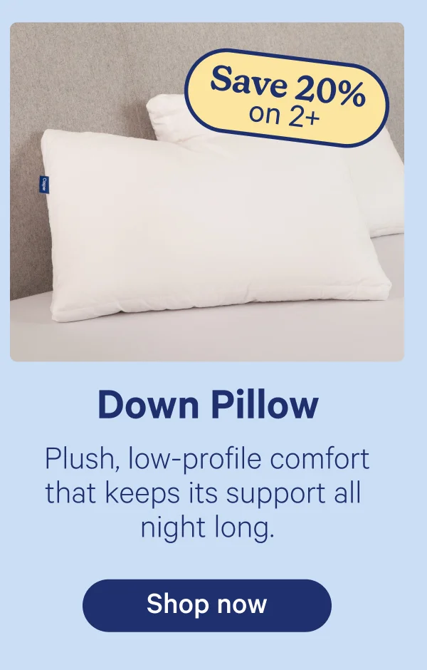 Down Pillow