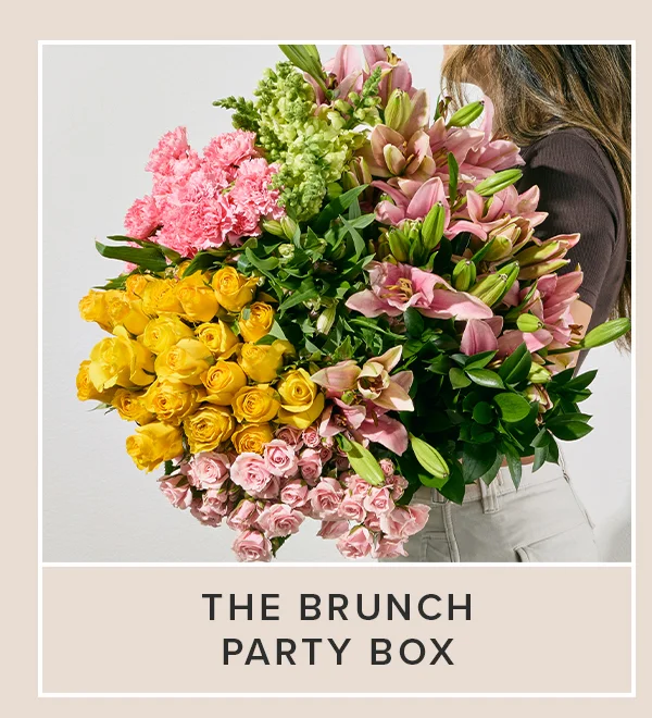 The Brunch Party Box The Brunch Party Box