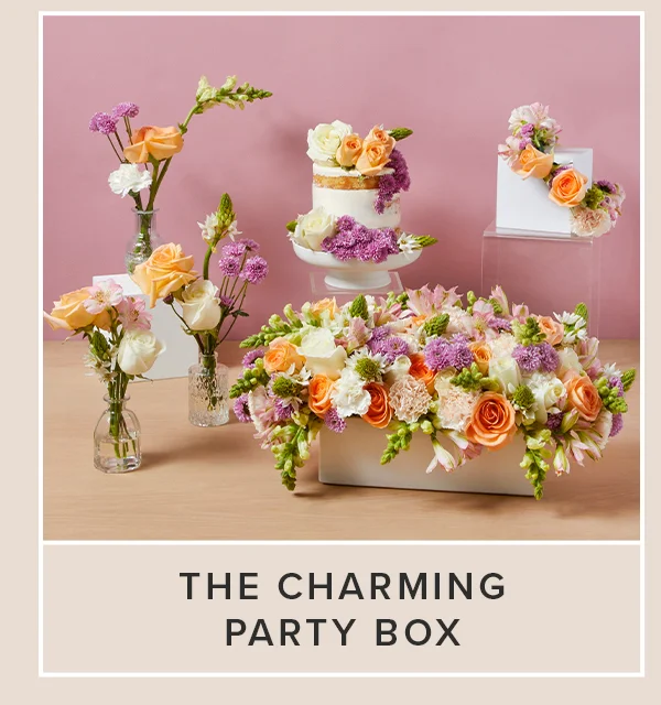The Charming Party Box The Charming Party Box