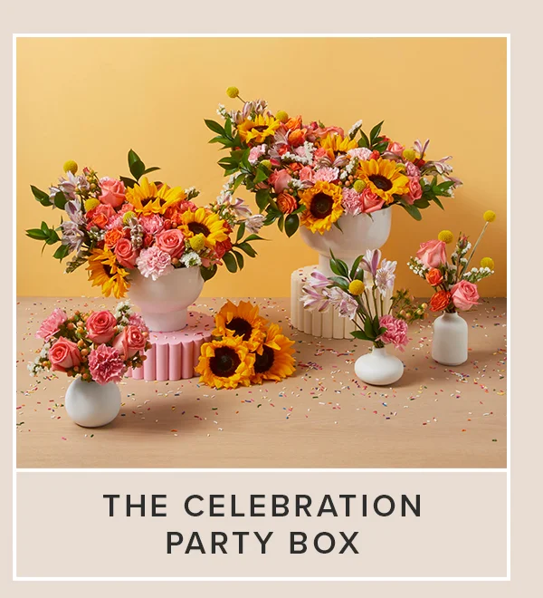 The Celebration Party Box The Celebration Party Box