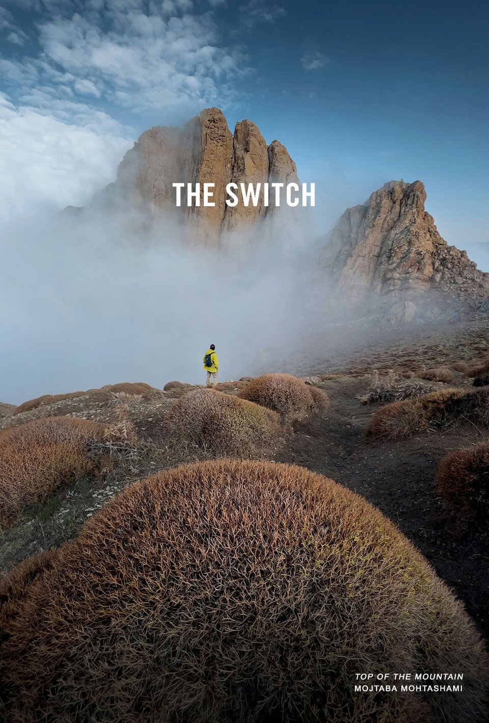 THE SWITCH