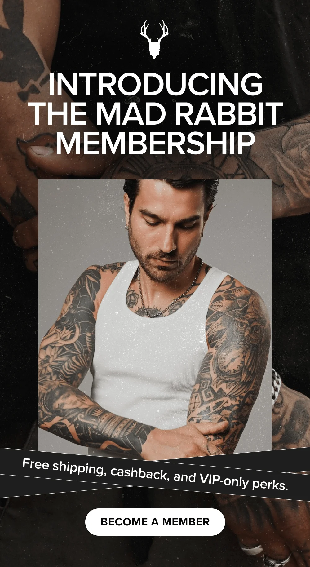 Introducing the Mad Rabbit Membership [ BECOME A MEMBER ]
