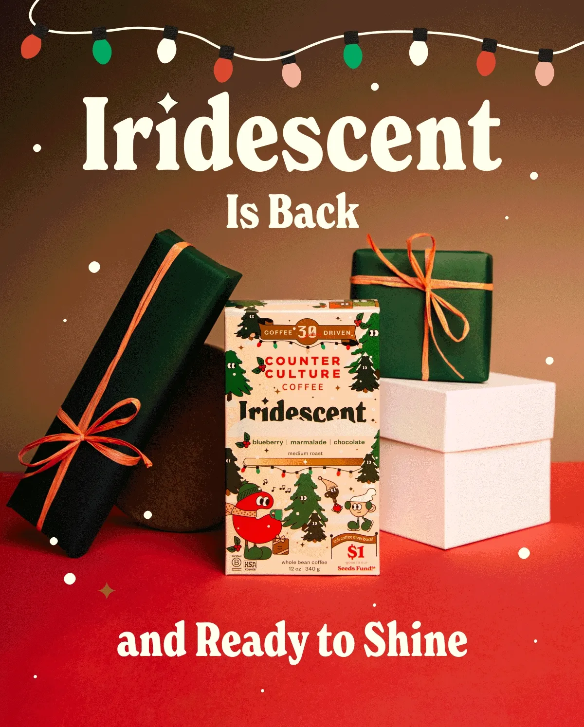 Iridescent is Back and ready to shine Iridescent is Back and ready to shine