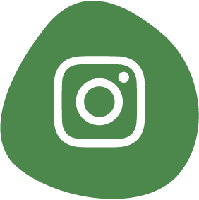 Insta