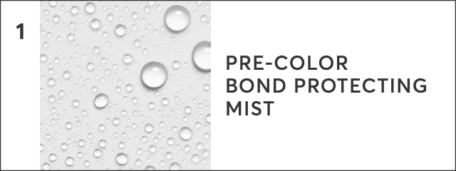 1. Pre-Color Bond Protecting Mist