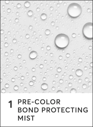 1. Pre-Color Bond Protecting Mist
