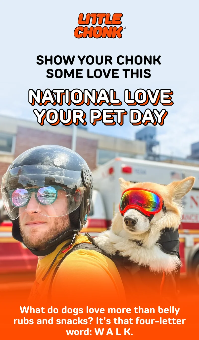 Show Your Chonk Some Love This National Love Your Pet Day