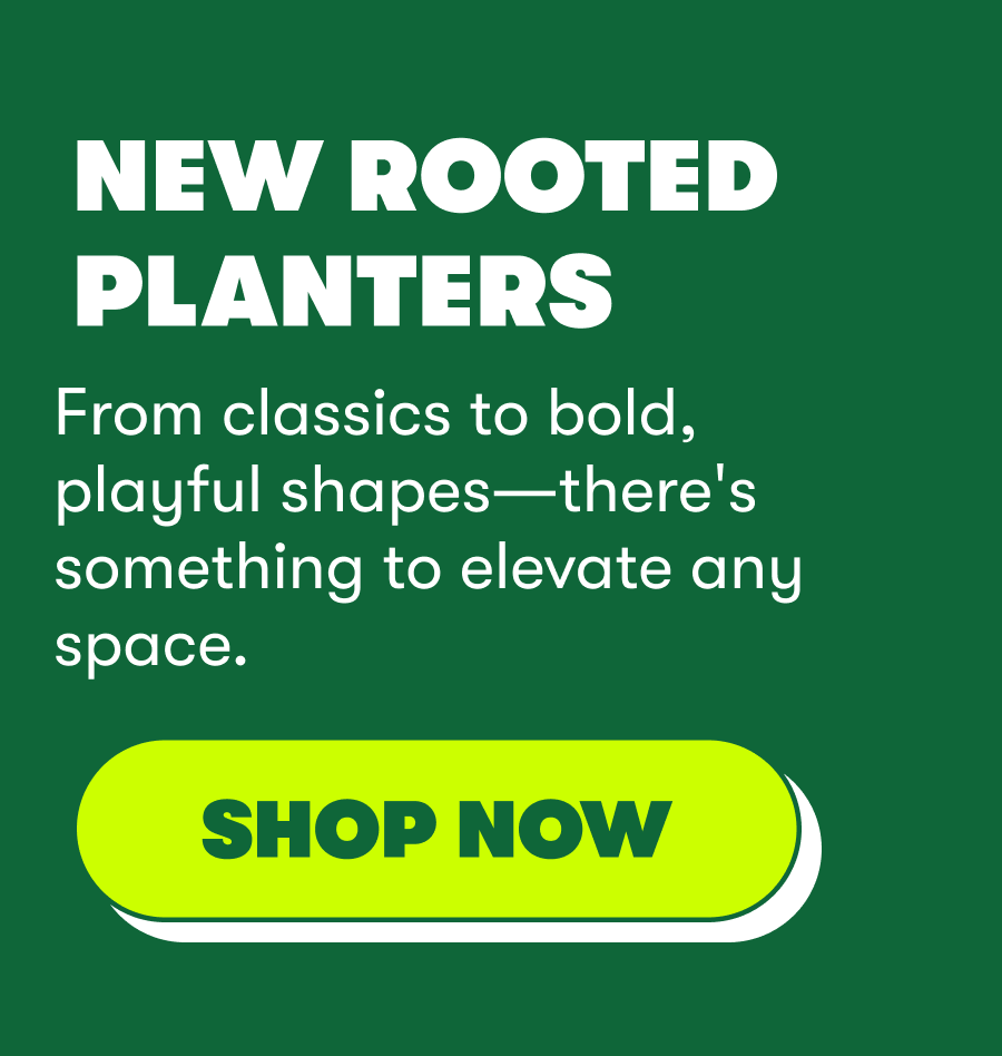 NEW ROOTED PLANTERS From classics to bold, playful shapes—there's something to elevate any space. [SHOP NOW]