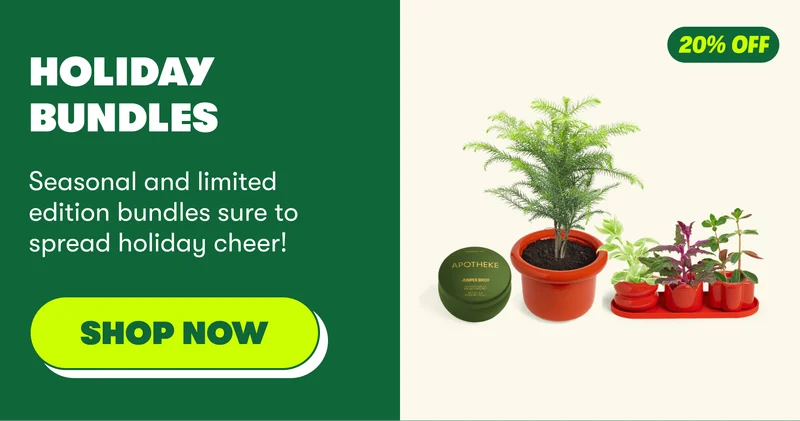 HOLIDAY BUNDLES Seasonal and limited edition bundles sure to spread holiday cheer! [SHOP NOW]