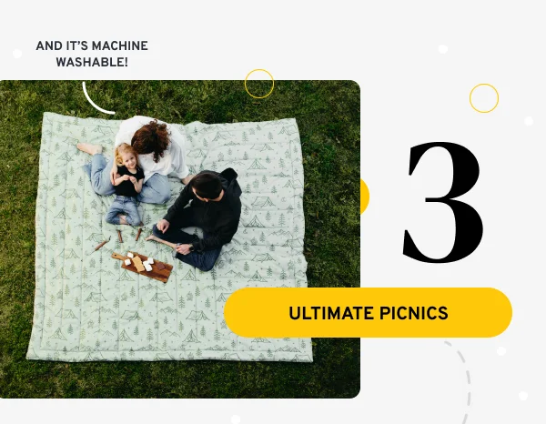 ULTIMATE PICNICS