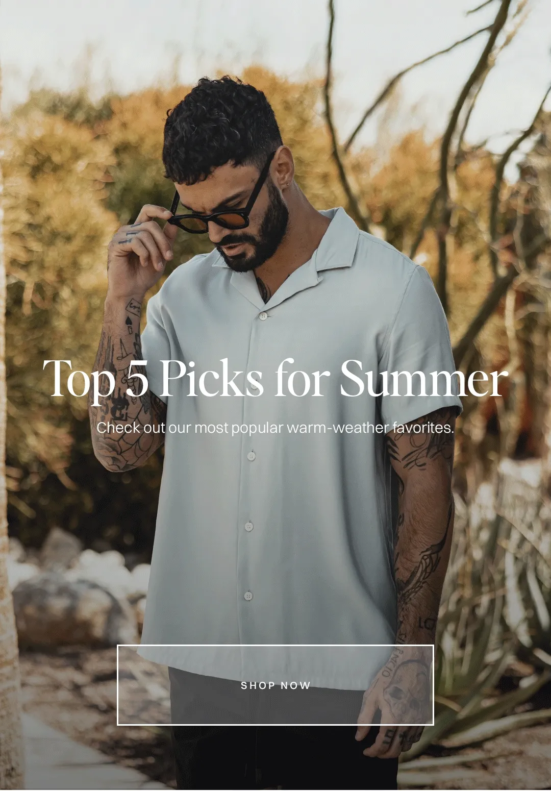Top Picks for Summer
