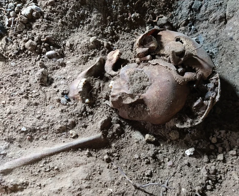 The floor under Hermann Göring’s residence at the Wolf’s Lair, Hitler’s secret military headquarters on the Eastern Front, revealed the human remains of five individuals, including this adult.