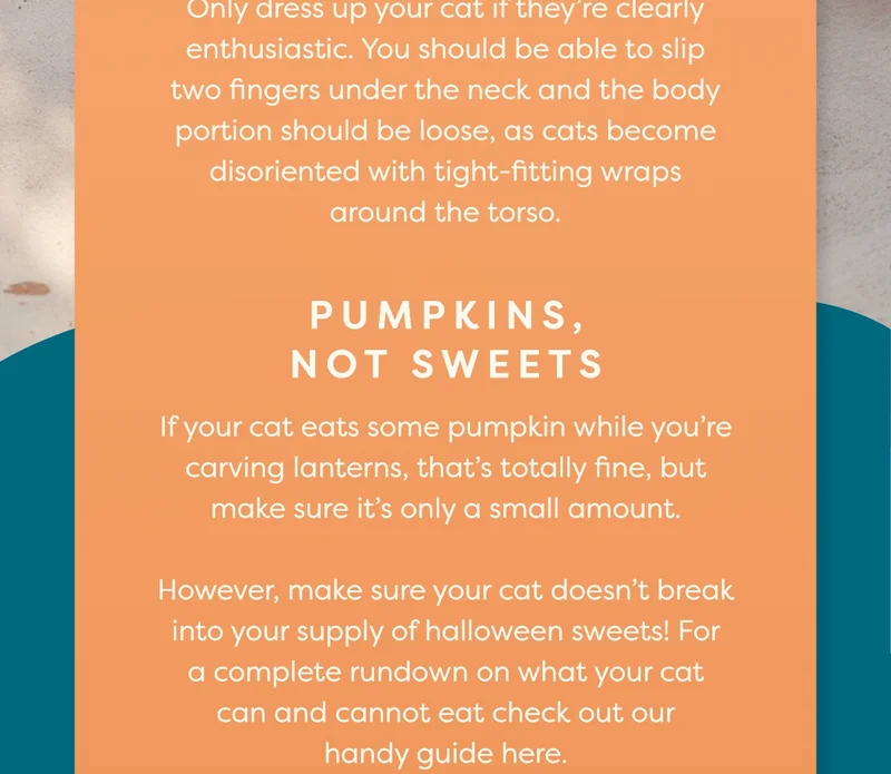 Pumpkins, not sweets