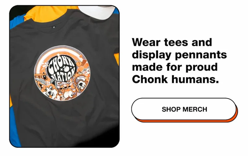Shop Merch