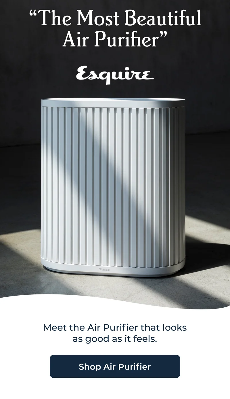 “The Most Beautiful Air Purifier”
