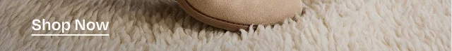 Shop Now - Image