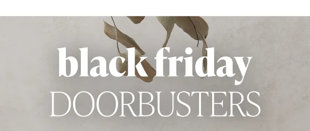 Black Friday Doorbusters - Image