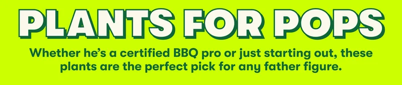 PLANTS FOR POPS Whether he’s a certified BBQ pro or just starting out, these plants are the perfect pick for any father figure.