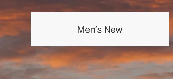 Men's New