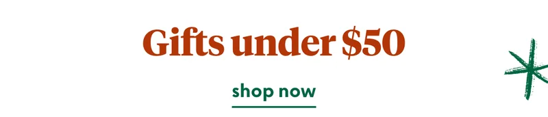 christmas-gifts-under-50