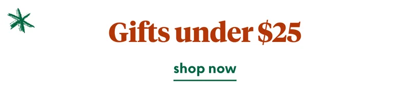 christmas-gifts-under-25