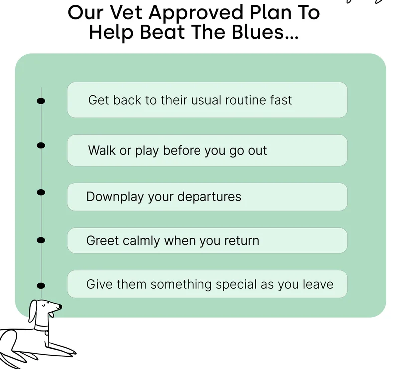 Our Vet Approved Plan