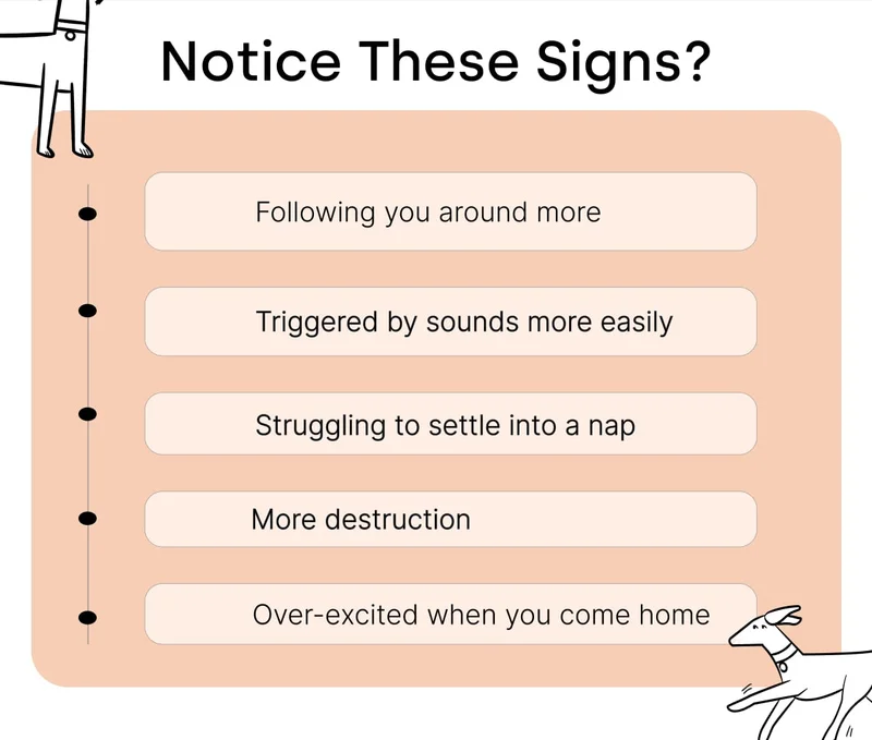 Notice These Signs