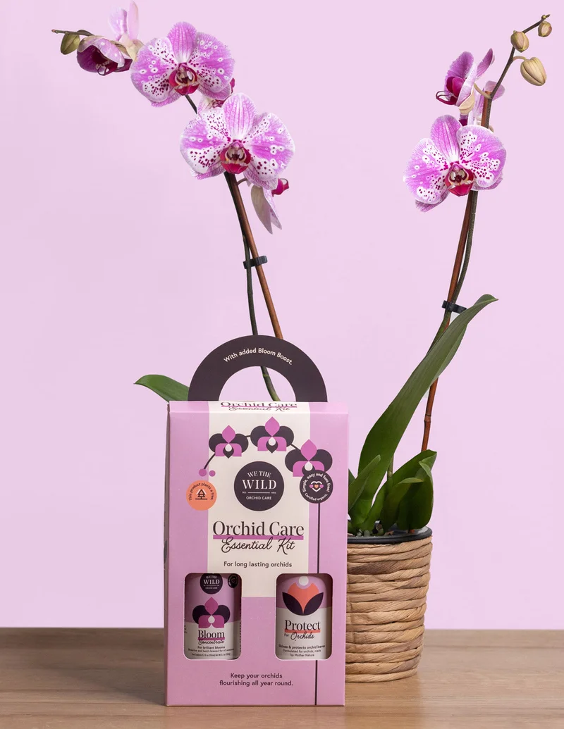 Image of Orchid Care Duo