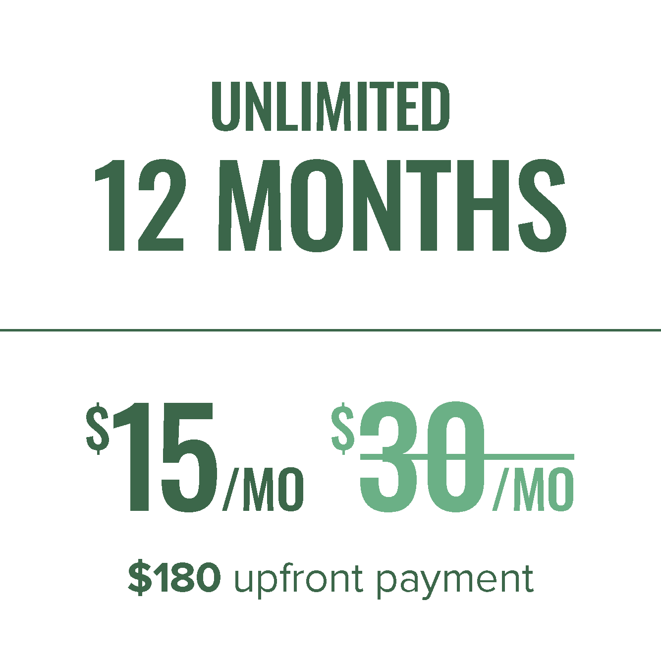 12 Month Plan $180 Upfront Payment