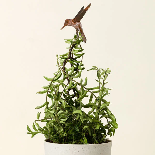 Hummingbird Climbing Stake