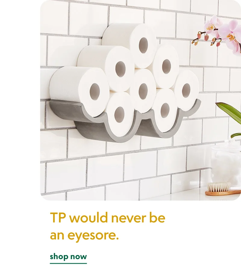 cloudy-day-toilet-paper-storage