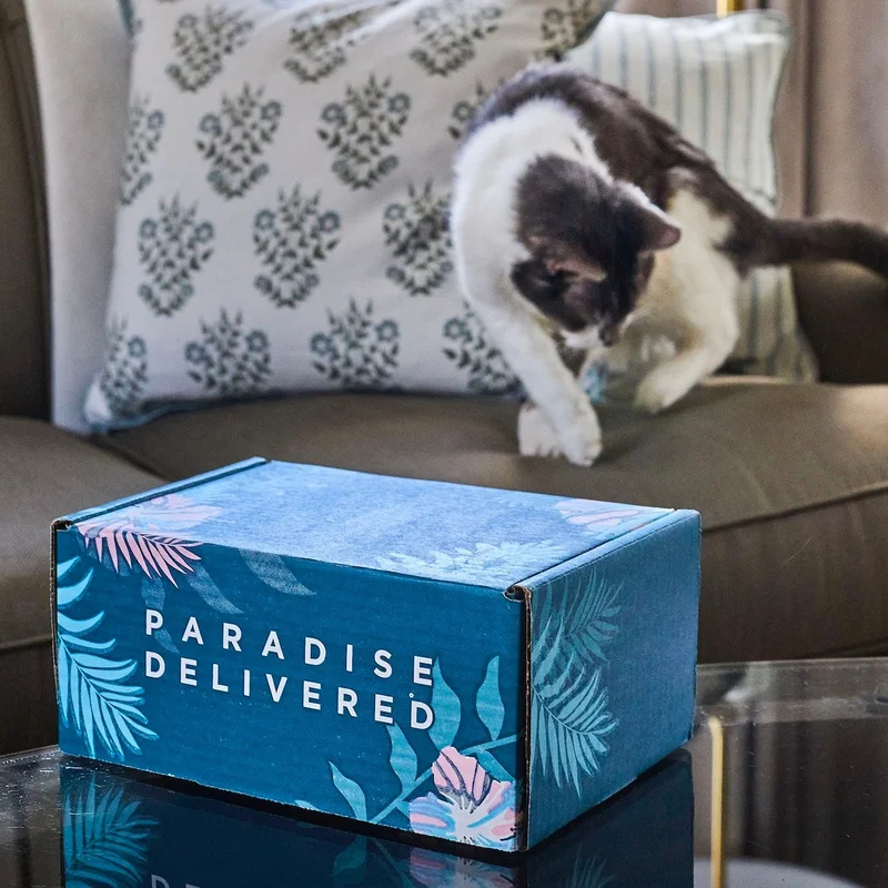 Cat Mom Mystery Box