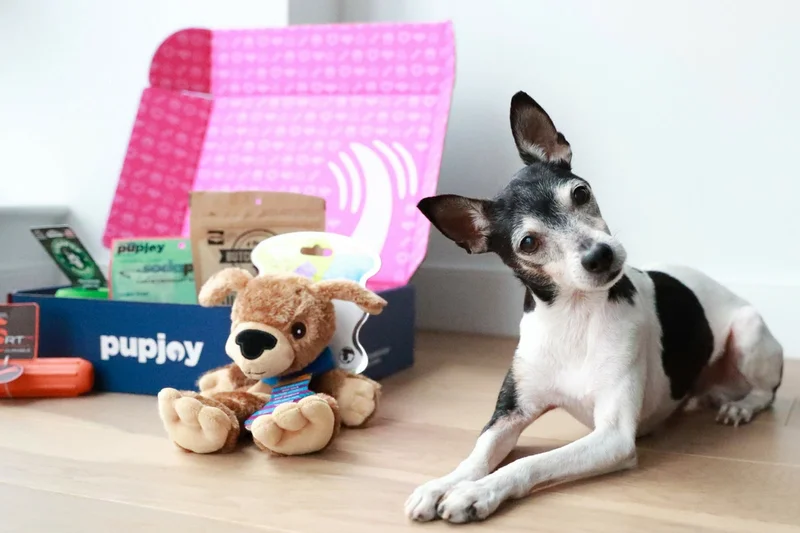 PupJoy Power Chewers Box
