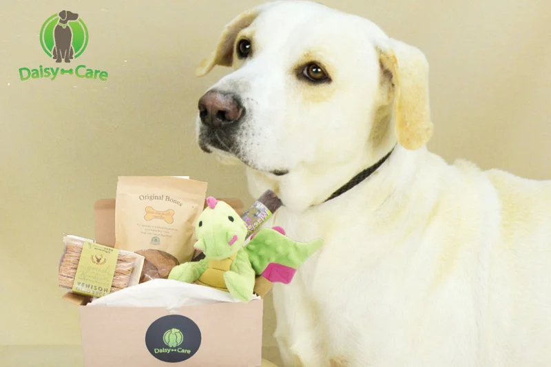 Daisy-Care Treats Care Package
