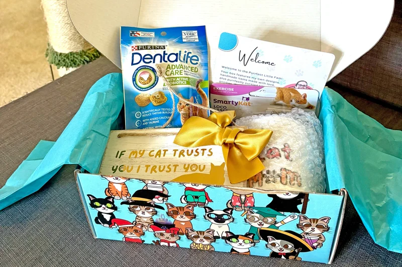 Purrfect Little Art Cat Lover's Box