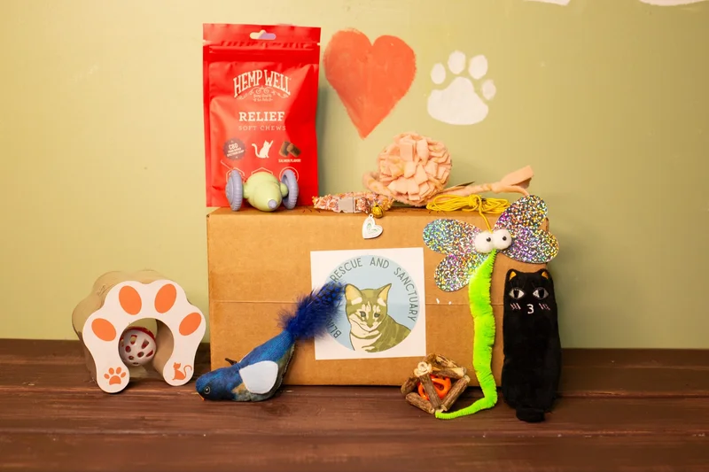 Feral Friends Monthly Cat Box