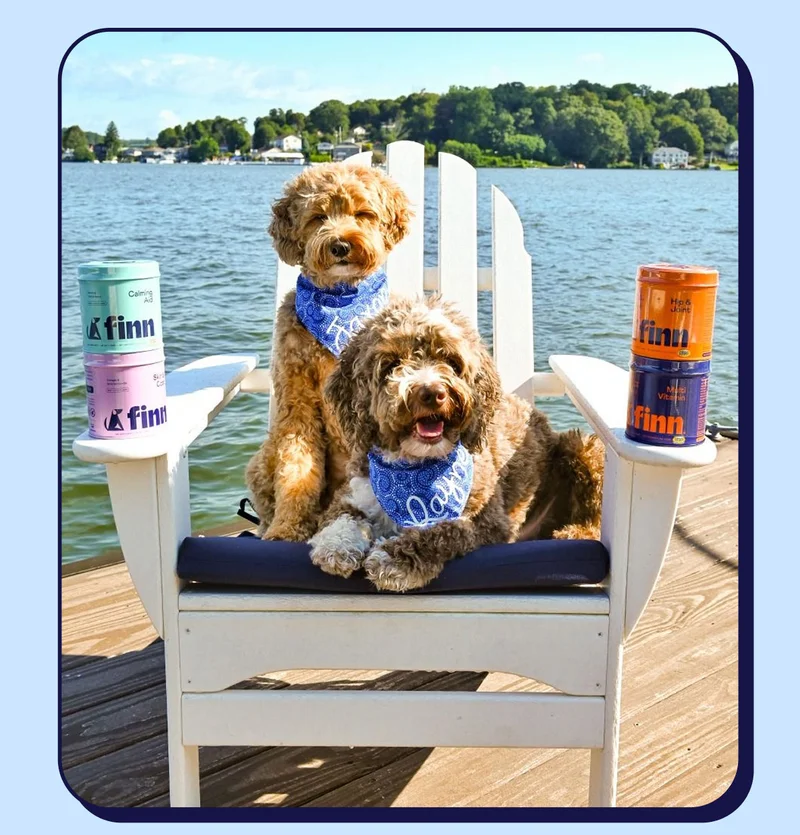 UGC image of two fluffy dogs wearing blue bandanas sitting on a beach chair on the edge of a pier. Finn products are stacked on each arm of the chair.