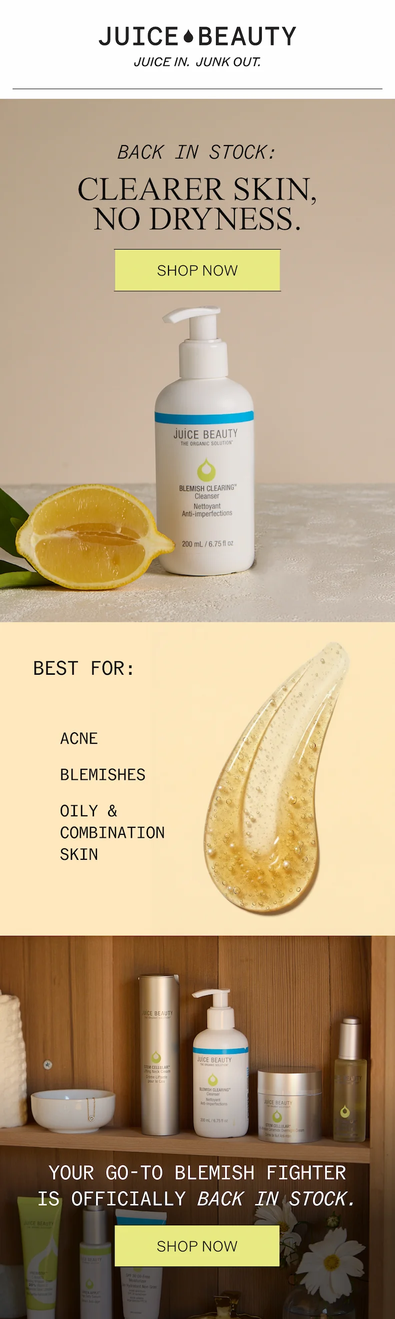 Blemish Clearing Cleanser