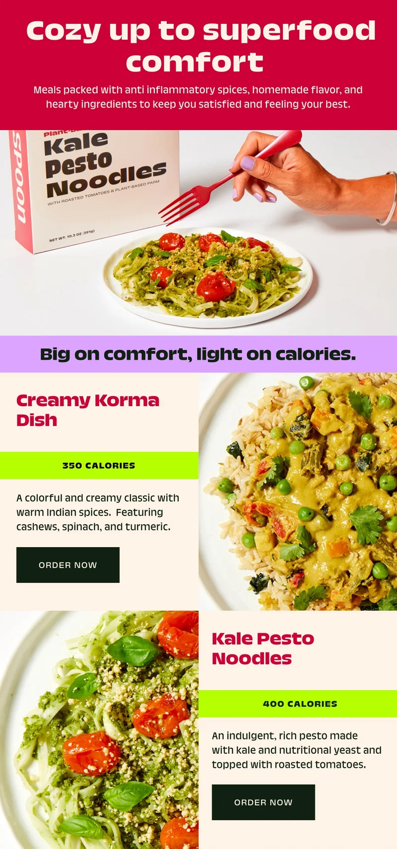 Creamy Korma Dish