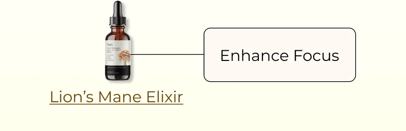 Lion's Mane Elixir
