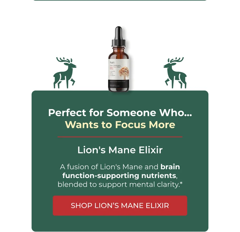 Lion's Mane Elixir