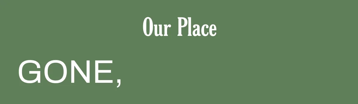 Our Place - Gone, Gone, Gone