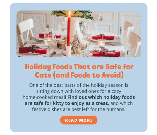 Holiday Foods That are Safe for Cats (and Foods to Avoid). One of the best parts of&nbsp;the holiday season is&nbsp;sitting down with loved ones for a cozy&nbsp;home-cooked meal! Find out which holiday foods are safe for kitty to enjoy as a treat, and which festive dishes are best left for the humans. Read more [https://www.meowbox.com/blogs/news/holiday-foods]