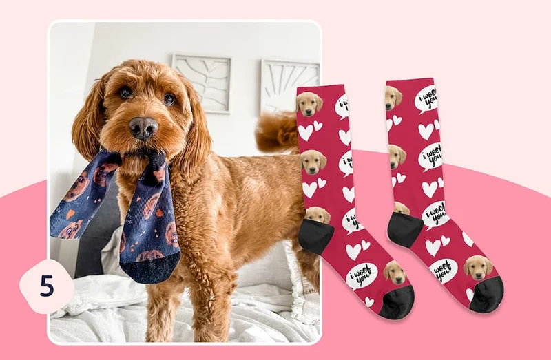 Pet face socks mock ups and customer photo