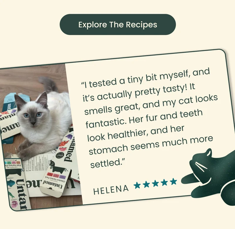 Explore the Recipes